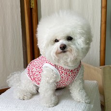 블랙라벨퍼피