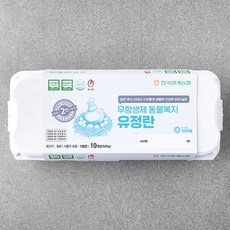 목계촌 동물복지 인증 유정란 520g, 1개, 10구 1개, 10구