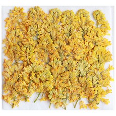 油菜籽壓花, 混色