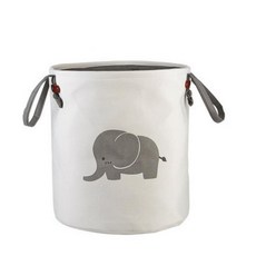 바구니카시트루미