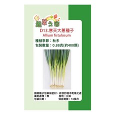 蔬菜工坊 D13 寒天大蔥種子 0.88g 400顆, 1個