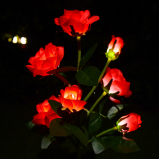 LED太陽能玫瑰造型庭院燈, 紅色的