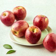 당찬 감홍사과, 1.5kg(중과, 5~7입), 1개