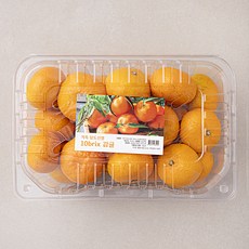 가족 당도선별 10brix 감귤 팩, 1팩, 2kg(로열과)