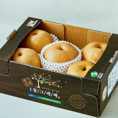 농협 명실상주 GAP 인증 만풍배, 1박스, 3kg(4~7입)