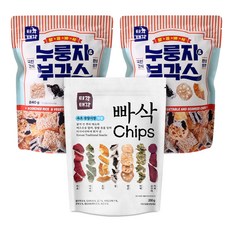 빠삭칩