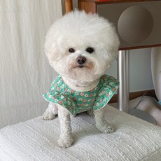 바이담수미 강아지 베네타 누빔 프릴 조끼, 그린, 1개