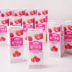 자연드림 딸기우유, 190ml, 24개