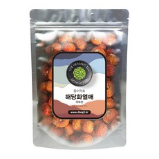 동이약초 국내산 해당화열매, 250g, 1개