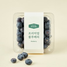 온브릭스 프리미엄 블루베리, 1개, 200g