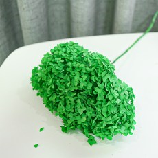 남원공방줄기꽃