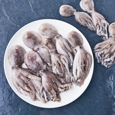 피시원 국내산 자연산 주꾸미 (냉장), 1kg(8~16미), 1박스