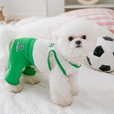 파스텔펫 반려동물 메쉬 스포츠 올인원, 그린