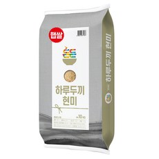 든든 2021년 하루두끼 현미, 1개, 10kg