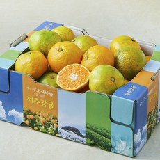오색바람 못난이 감귤 랜덤과, 1개, 3kg