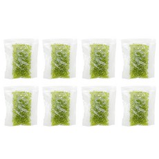 ARTNISM 口罩鍊手鍊戒指 DIY串珠 10g 3mm, 一個年終, 8個