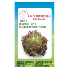 蔬菜工坊 A34 火鳳凰萵苣種子 0.9g 780顆, 1個