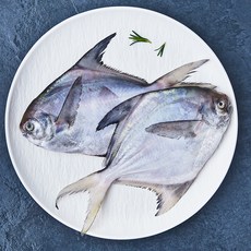 국내산 손질병어 2미 (냉장), 300g, 1개