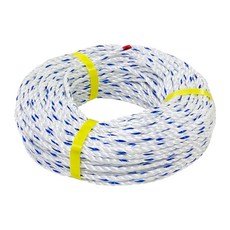 QUE CHUNG 透明 PP 繩 14mm x 100m, 1個