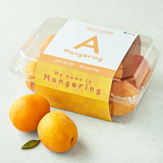 셀렉트팜 영주 망고링 5~9입, 1개, 800g