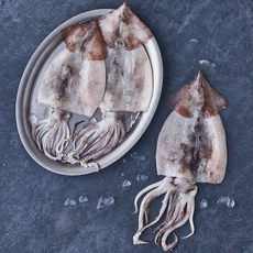 피시원 산지직송 손질한 생물오징어 (냉장), 1kg(3~6미), 1개