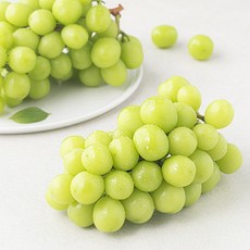 이화원 당도선별 샤인머스캣, 1팩, 1.2kg
