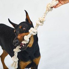 럭키페터 강아지 터그놀이 로프 장난감 6중매듭, 베이지, 1개