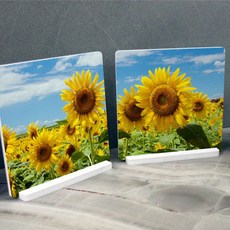 인테리어소형액자셋트