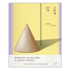 백의 그림자:황정은 장편소설, 황정은, 창비