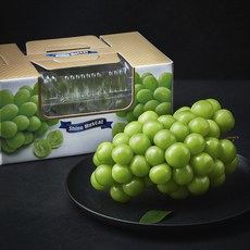 프레시픽 상주 문장대 샤인머스캣 선물세트, 700g, 1박스