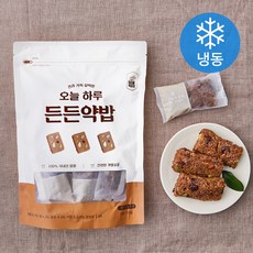 아리울 오늘 하루 든든 약밥 (냉동), 500g, 1개 - 아리울