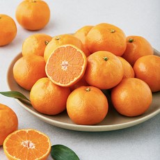 탑문주왕 당도선별 11brix 감귤 로열과, 2kg(로열과), 1박스