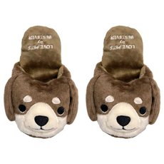 Bestever 玩具 拖鞋 DAX 犬用, 1雙