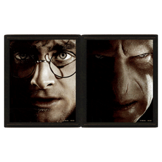 Harry Potter 哈利波特 3D海報，28.3 x 23.2 cm, 含框, 28.3 x 23.2cm