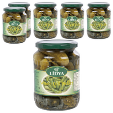 LIDYA 莉迪亞 蒔蘿醋漬酸瓜, 670公克, 360公克固形量, 土耳其原產, 720ml, 6罐