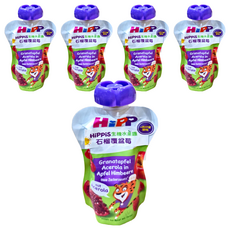 HiPP 喜寶 生機水果趣, 石榴覆盆莓, 1歲以上幼兒適用, 100g, 5包