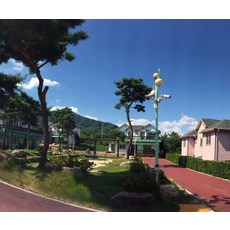 청도운문사대웅보전꽃문살