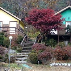 하늘터밭