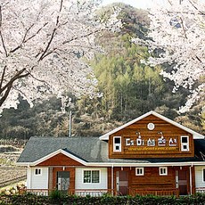 전북레프팅