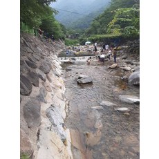 카라반예약
