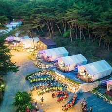 [경주시] 오아시스글램핑