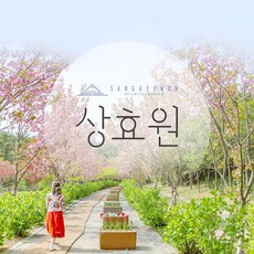[서귀동부] |제주|상효원