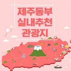 제주동쪽스노쿨링