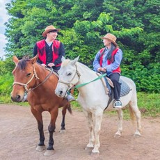 제주동남부승마레슨