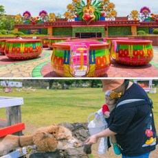 [제주도] |제주도| 신화테마파크+새별프렌즈 입장권