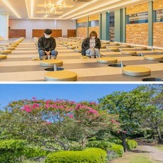 카멜리아힐동백오일