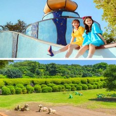 카멜리아힐동백오일