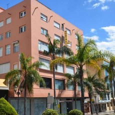 [토레몰리노스] Hostal La Palmera