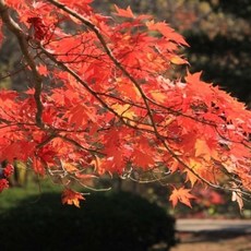 부산관광열차