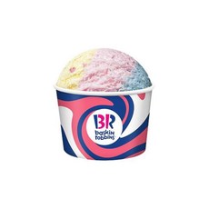  실시간e쿠폰 배스킨라빈스 아이스크림 상품 싱글레귤러 파인트 버라이어티팩 